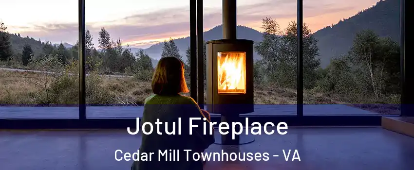 Jotul Fireplace Cedar Mill Townhouses - VA