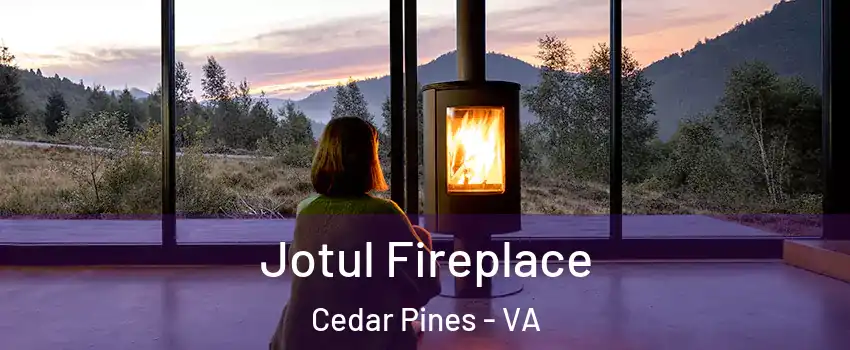 Jotul Fireplace Cedar Pines - VA