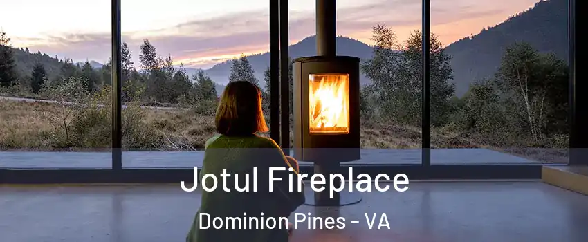 Jotul Fireplace Dominion Pines - VA