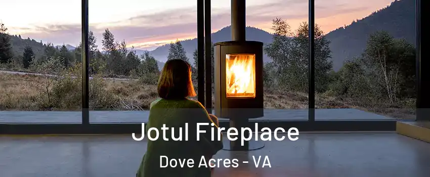 Jotul Fireplace Dove Acres - VA