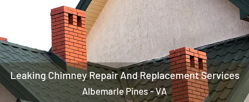 Leaking Chimney Repair And Replacement Services Albemarle Pines - VA