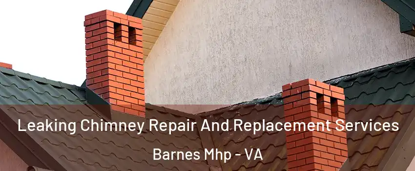 Leaking Chimney Repair And Replacement Services Barnes Mhp - VA