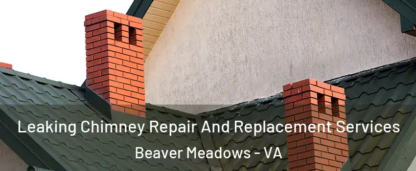 Leaking Chimney Repair And Replacement Services Beaver Meadows - VA