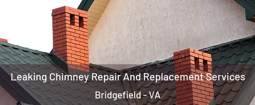 Leaking Chimney Repair And Replacement Services Bridgefield - VA