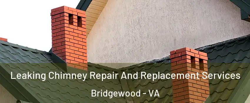 Leaking Chimney Repair And Replacement Services Bridgewood - VA