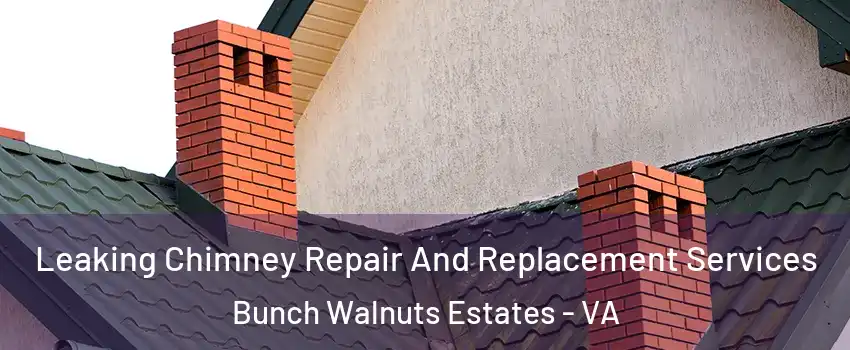 Leaking Chimney Repair And Replacement Services Bunch Walnuts Estates - VA