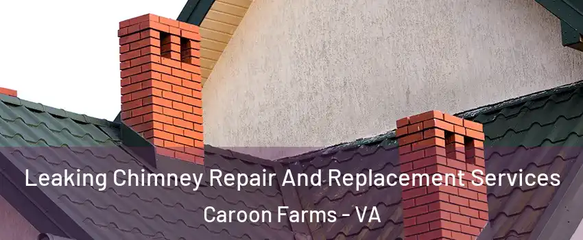 Leaking Chimney Repair And Replacement Services Caroon Farms - VA