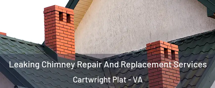 Leaking Chimney Repair And Replacement Services Cartwright Plat - VA