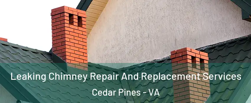 Leaking Chimney Repair And Replacement Services Cedar Pines - VA