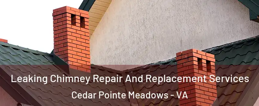 Leaking Chimney Repair And Replacement Services Cedar Pointe Meadows - VA