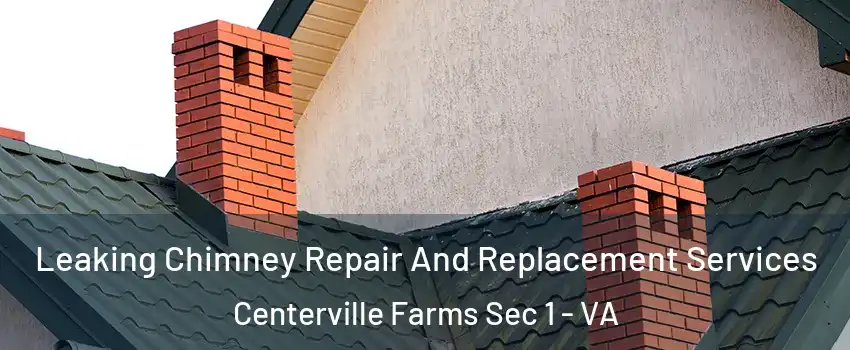 Leaking Chimney Repair And Replacement Services Centerville Farms Sec 1 - VA
