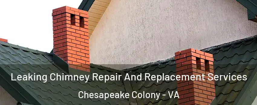 Leaking Chimney Repair And Replacement Services Chesapeake Colony - VA