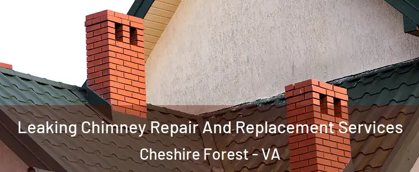 Leaking Chimney Repair And Replacement Services Cheshire Forest - VA