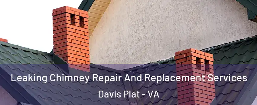 Leaking Chimney Repair And Replacement Services Davis Plat - VA