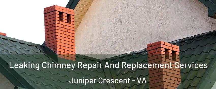 Leaking Chimney Repair And Replacement Services Juniper Crescent - VA