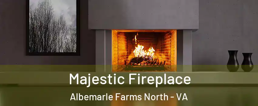 Majestic Fireplace Albemarle Farms North - VA