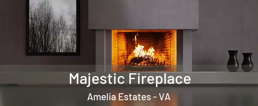 Majestic Fireplace Amelia Estates - VA