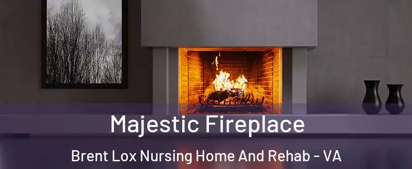 Majestic Fireplace Brent Lox Nursing Home And Rehab - VA