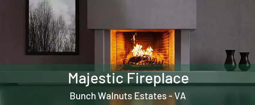 Majestic Fireplace Bunch Walnuts Estates - VA
