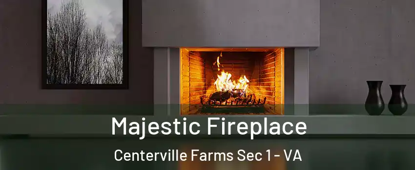 Majestic Fireplace Centerville Farms Sec 1 - VA