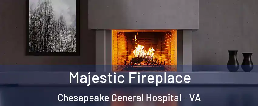 Majestic Fireplace Chesapeake General Hospital - VA