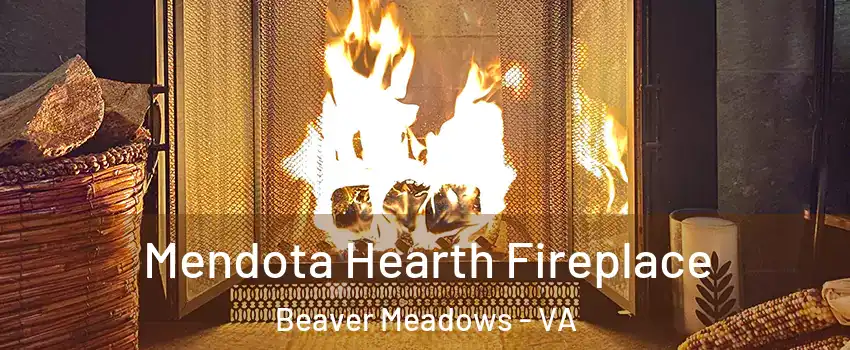 Mendota Hearth Fireplace Beaver Meadows - VA