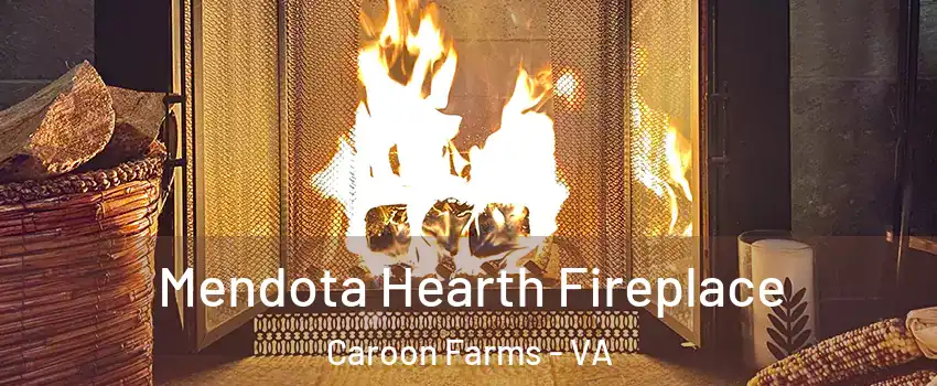 Mendota Hearth Fireplace Caroon Farms - VA