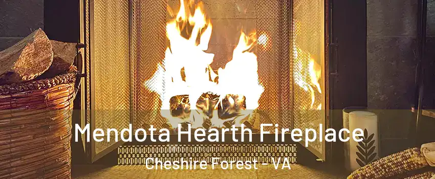 Mendota Hearth Fireplace Cheshire Forest - VA
