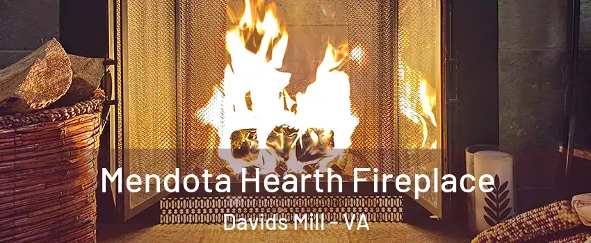 Mendota Hearth Fireplace Davids Mill - VA