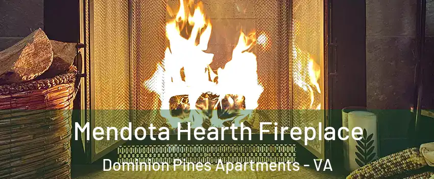 Mendota Hearth Fireplace Dominion Pines Apartments - VA