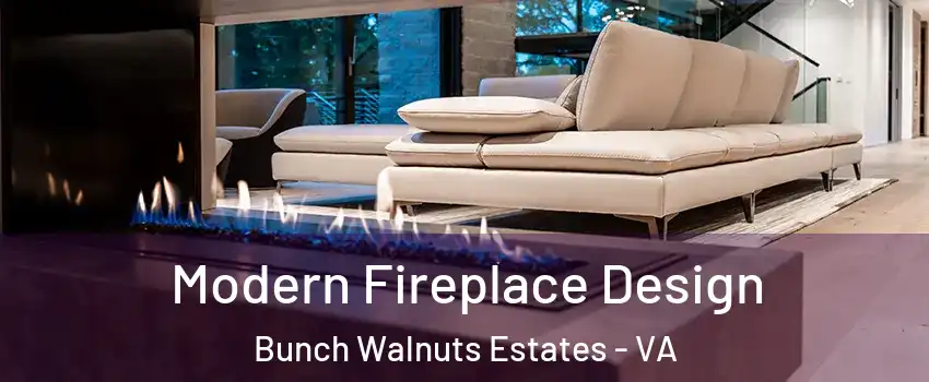 Modern Fireplace Design Bunch Walnuts Estates - VA