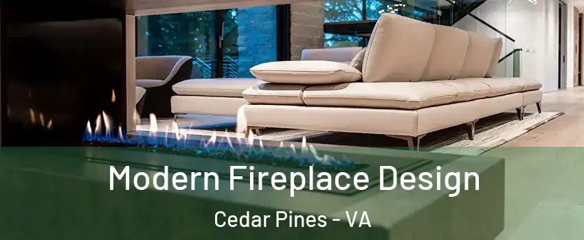 Modern Fireplace Design Cedar Pines - VA