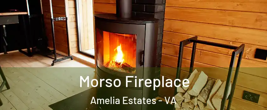 Morso Fireplace Amelia Estates - VA