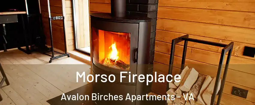 Morso Fireplace Avalon Birches Apartments - VA