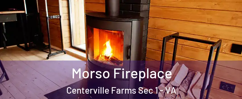 Morso Fireplace Centerville Farms Sec 1 - VA