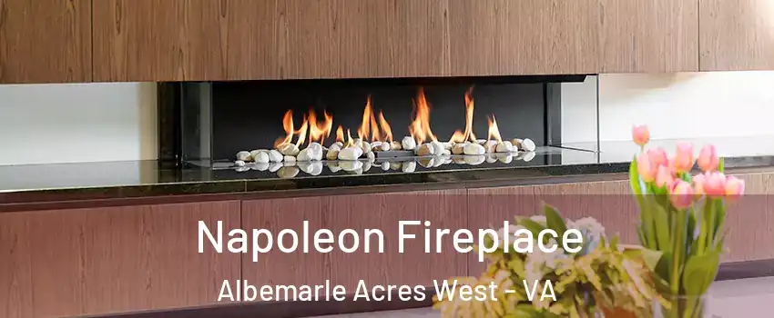 Napoleon Fireplace Albemarle Acres West - VA