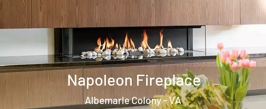 Napoleon Fireplace Albemarle Colony - VA
