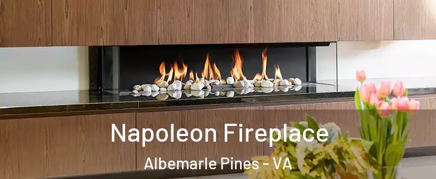 Napoleon Fireplace Albemarle Pines - VA