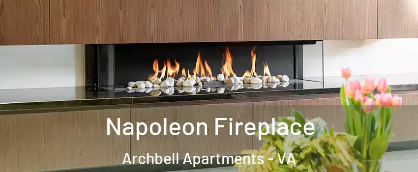 Napoleon Fireplace Archbell Apartments - VA