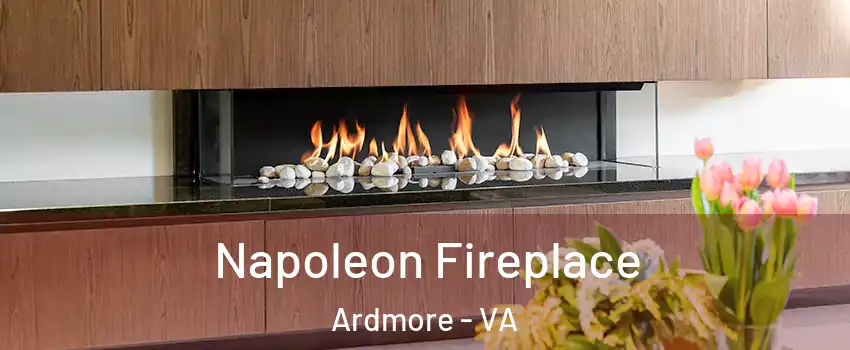 Napoleon Fireplace Ardmore - VA