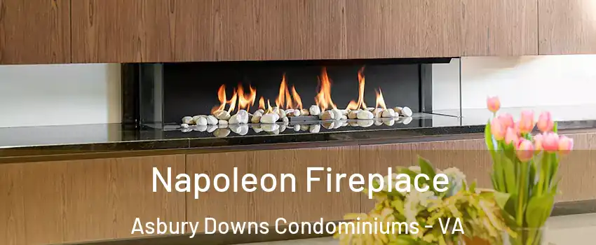 Napoleon Fireplace Asbury Downs Condominiums - VA