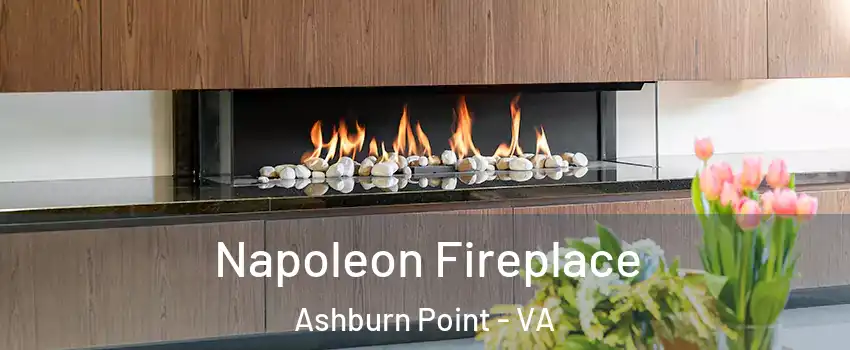 Napoleon Fireplace Ashburn Point - VA