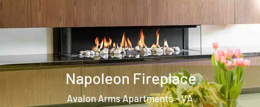 Napoleon Fireplace Avalon Arms Apartments - VA