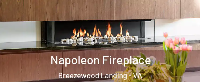 Napoleon Fireplace Breezewood Landing - VA