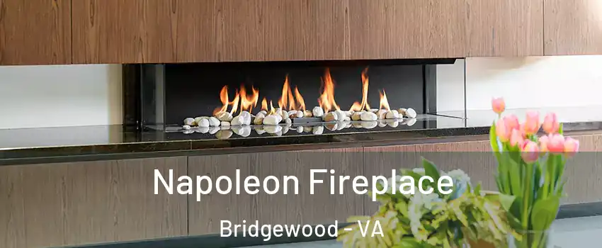 Napoleon Fireplace Bridgewood - VA