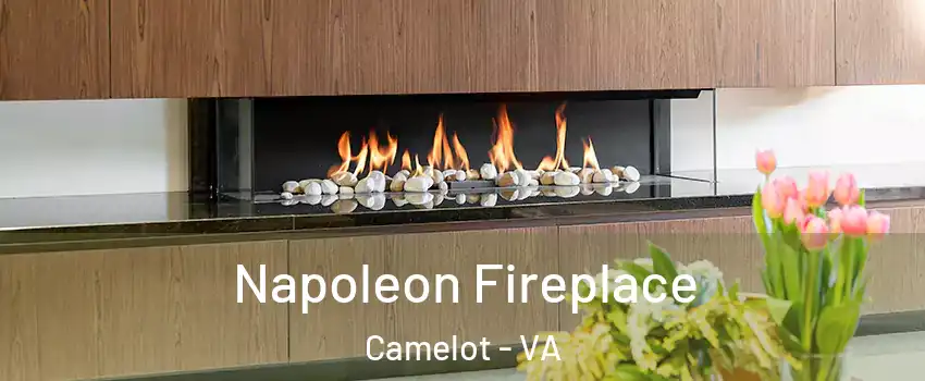 Napoleon Fireplace Camelot - VA