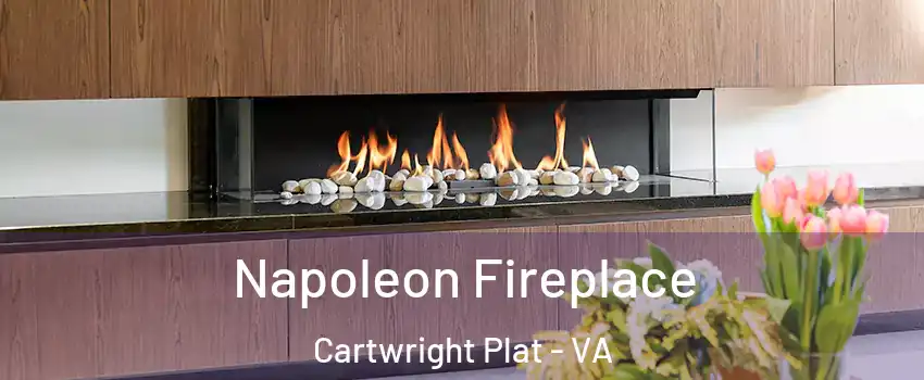 Napoleon Fireplace Cartwright Plat - VA