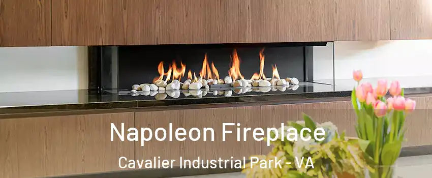 Napoleon Fireplace Cavalier Industrial Park - VA