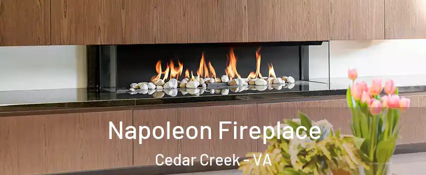 Napoleon Fireplace Cedar Creek - VA