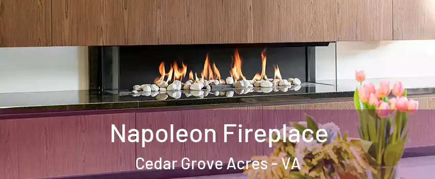 Napoleon Fireplace Cedar Grove Acres - VA